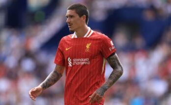 Transferir rumores, noticias: AC Milan Move para el Núñez de Liverpool