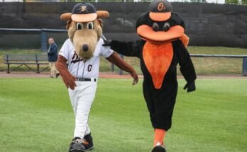 Actualización: Frederick Keys to Reaffile Orioles para la temporada 2026