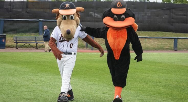 Actualización: Frederick Keys to Reaffile Orioles para la temporada 2026