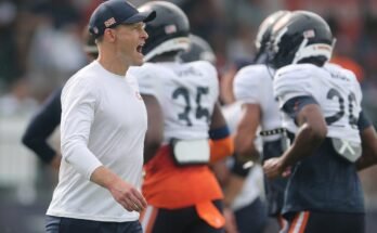 Campamento de entrenamiento de los Chicago Bears: Take -Out of Family Fest