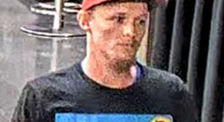 La policía que busca a un hombre que lanzó un juguete sexual en el juego de la Libertad de Nueva York