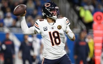 Picks, Predicciones de 2025 NFL GRATIS, Predicciones: Target Packers, Justin Jefferson, Caleb Williams en NFC North Bets