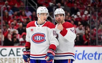 2024-25 Fantasy Hockey Draft Prep: Primer completo de la clase de reclutas; Mejores opciones, favoritos y más