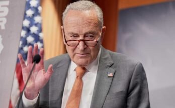 El líder de la minoría de la minoría Chuck Schumer de Nueva York, habla para una conferencia de prensa sobre precios el jueves 31 de julio de 2025 en Washington.