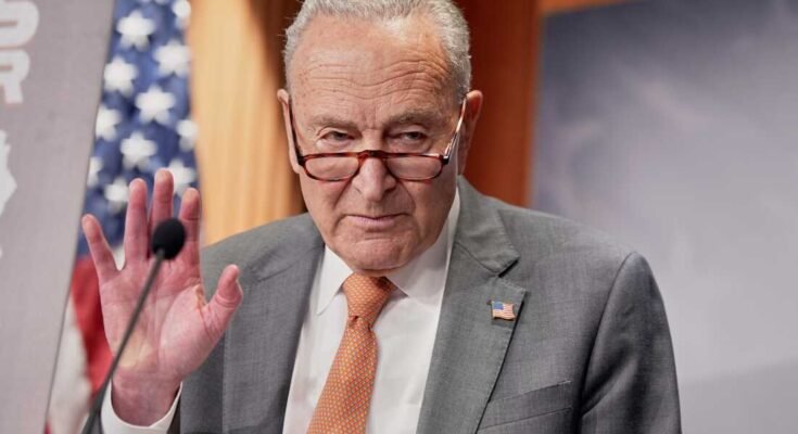 El líder de la minoría de la minoría Chuck Schumer de Nueva York, habla para una conferencia de prensa sobre precios el jueves 31 de julio de 2025 en Washington.