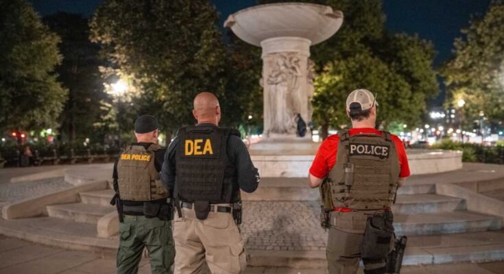 Los agentes de la Agencia de Aplicación de Drogas (DEA) están lanzando la custodia en DuPont Circle como parte de un despliegue federal de la ley en la capital nacional el 10 de agosto en Washington, DC